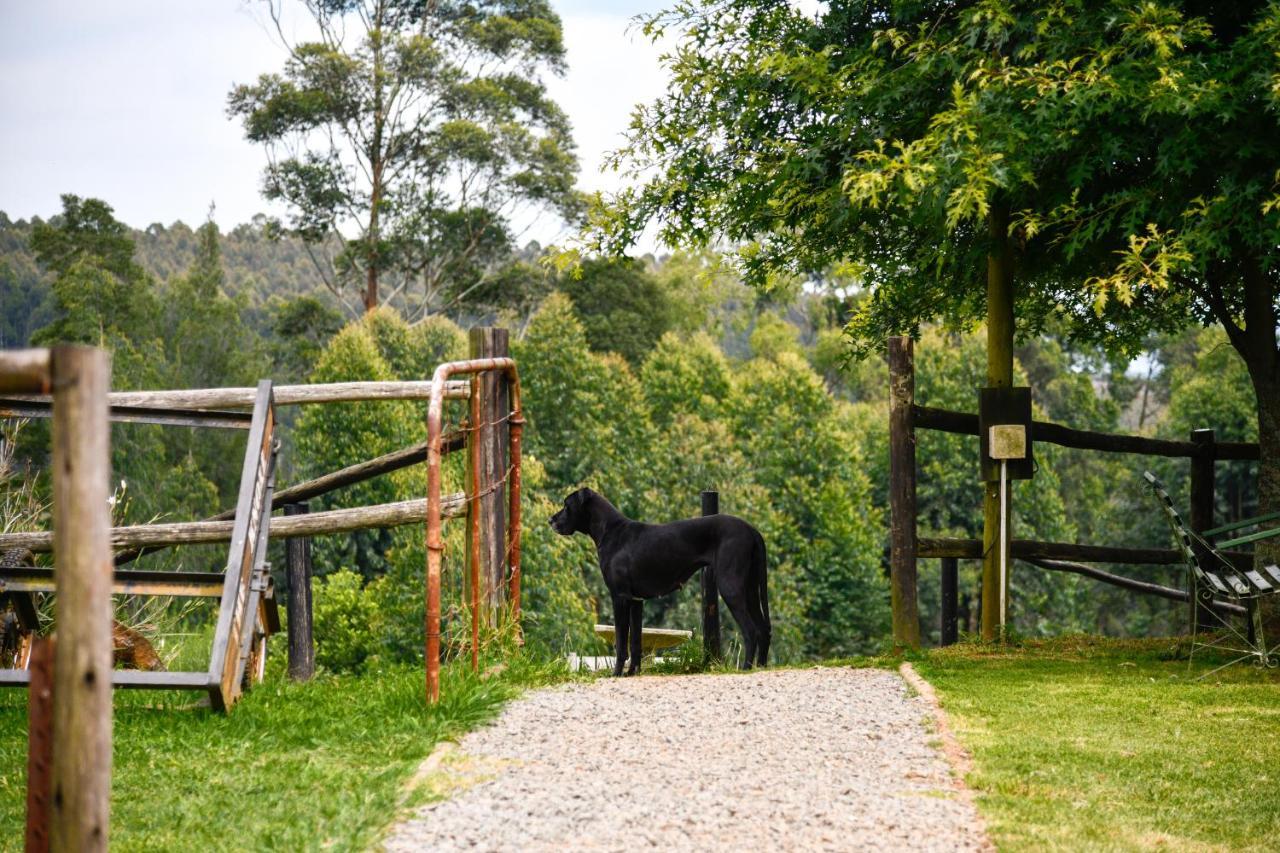 힐튼 The Knoll Historic Guest Farm 빌라 외부 사진