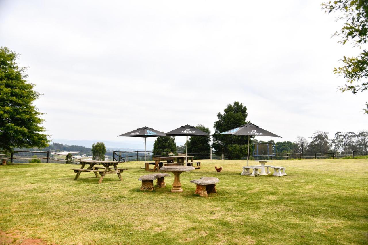힐튼 The Knoll Historic Guest Farm 빌라 외부 사진